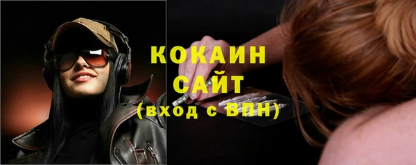 твердый Нягань