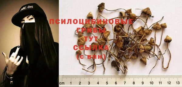 метамфетамин Аркадак
